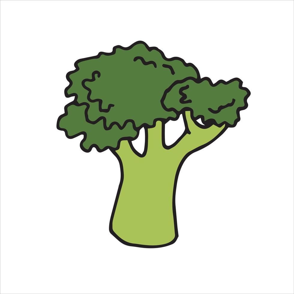 Vektorgekritzel, Zeichnung im Kartonstil. süße Brokkoli-Ikone. gesundes Essen, grüner Brokkoli, Essen für Veganer. Clipart-Gemüse vektor