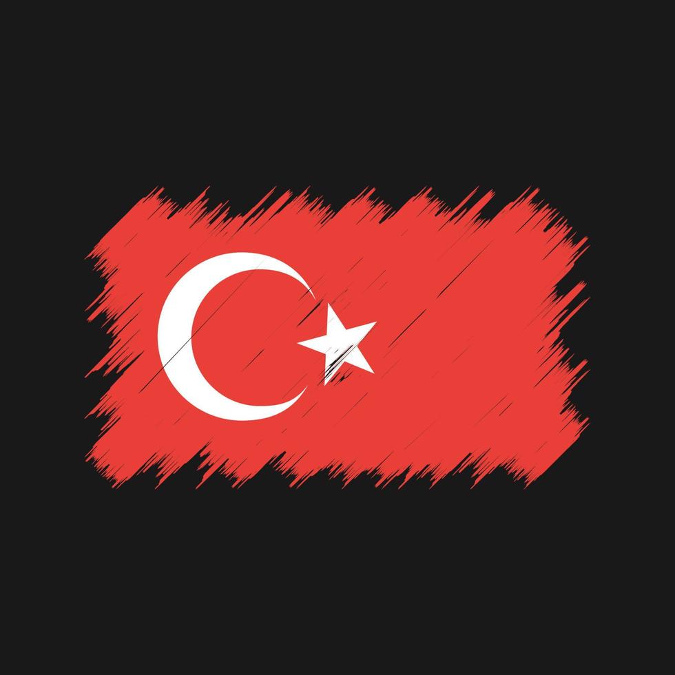 Bürste mit türkischer Flagge. Nationalflagge vektor