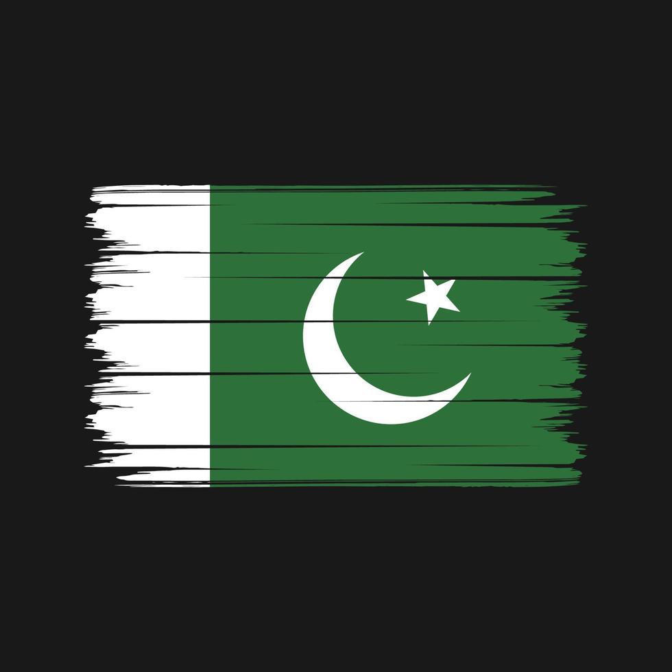 Pinselstriche der pakistanischen Flagge. Nationalflagge vektor