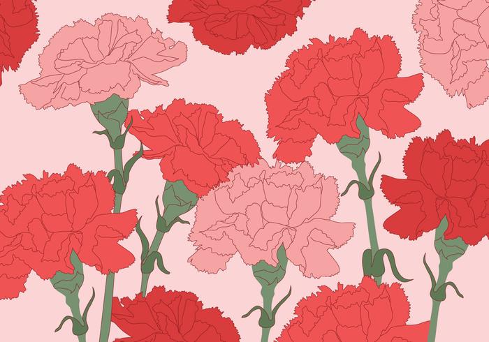 Carnation Vector Bakgrund