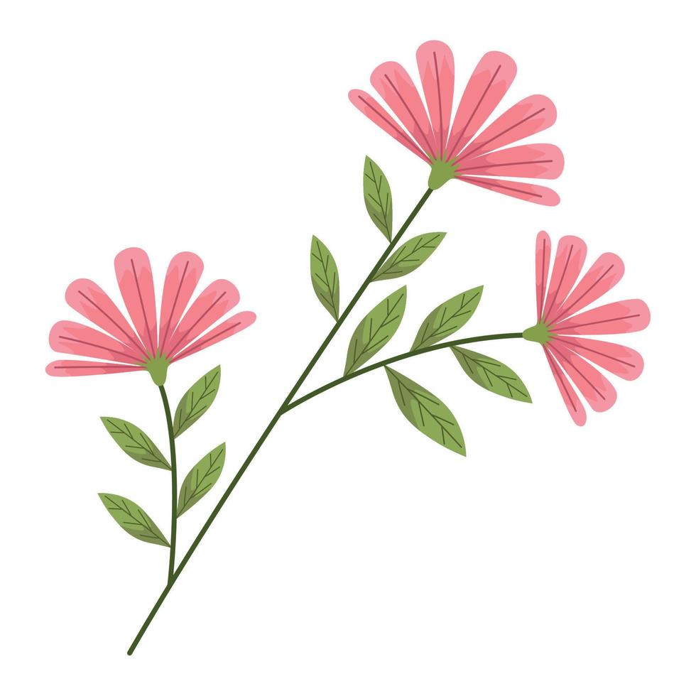 gren med rosa blommor vektor