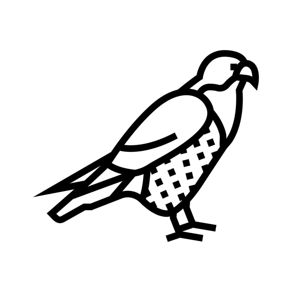 Falke Vogel Symbol Leitung Vektor Illustration