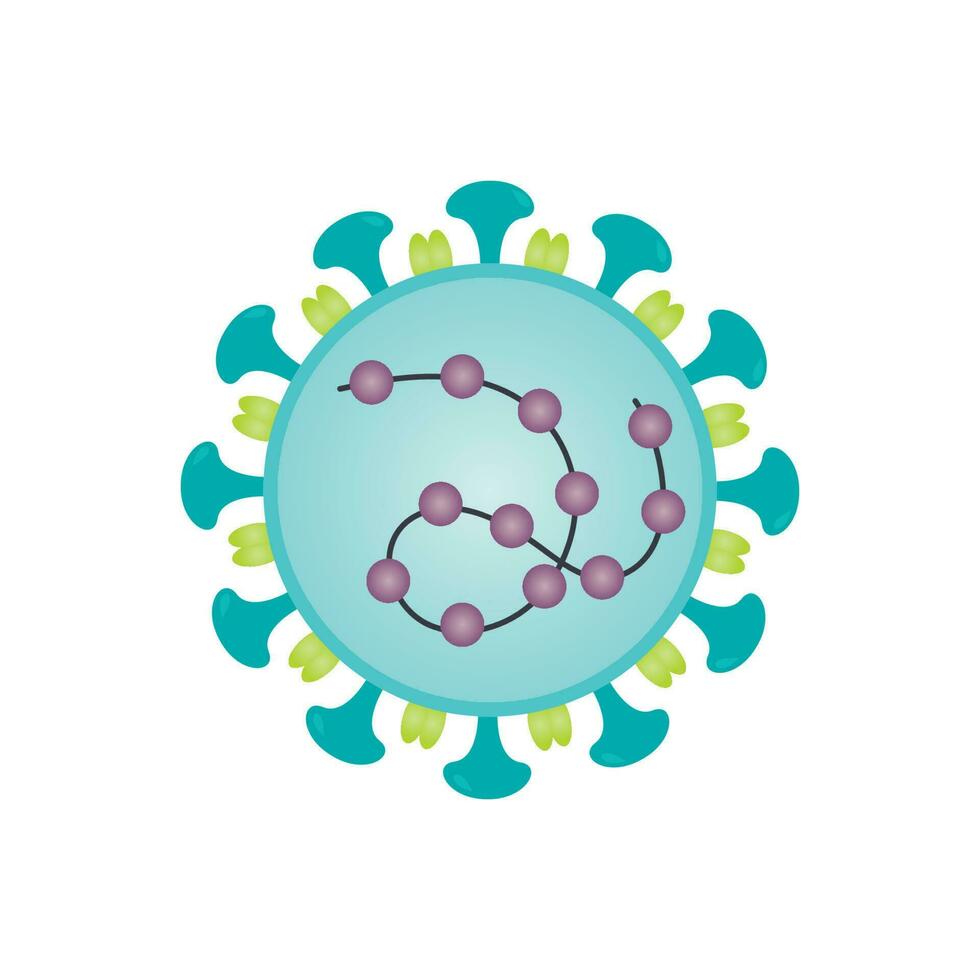 Struktur des Sars-CoV-2-Virus vektor