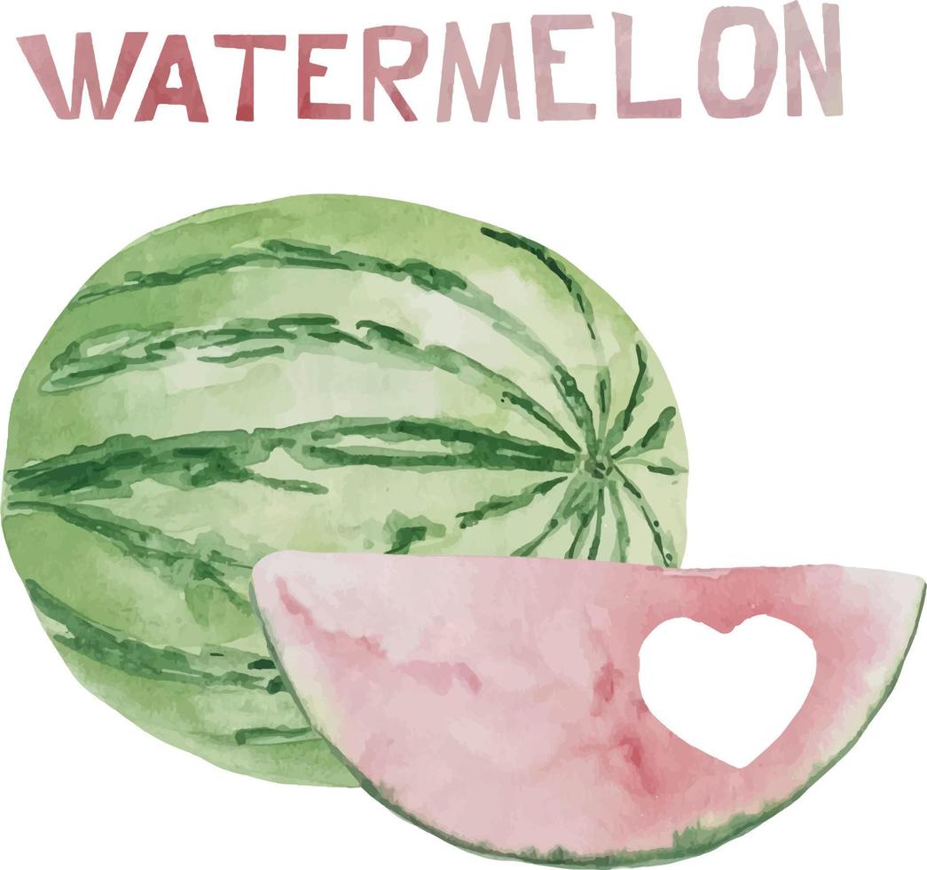 Aquarellillustration von Wassermelone, ganze Wassermelone, ein Stück Wassermelone, eine Scheibe Wassermelone. Wassermelonenliebe und -herzen vektor