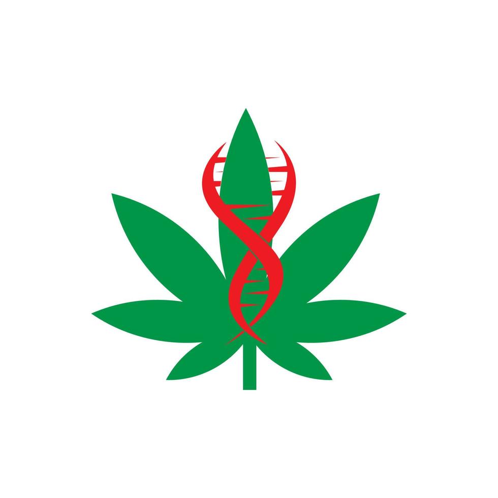 Cannabisblatt mit DNA-Symbol-Logo-Vorlage vektor