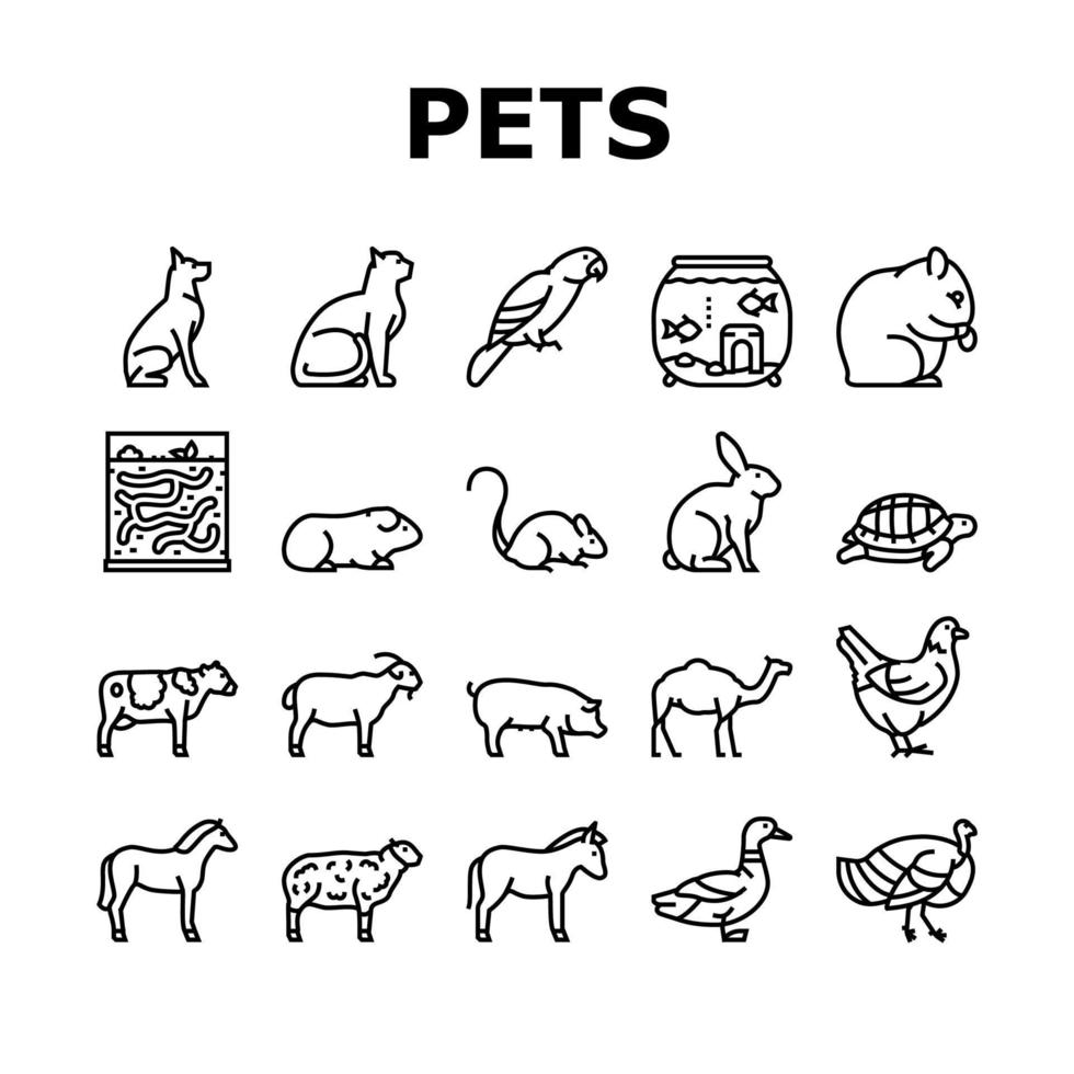 husdjur tamdjur samling ikoner som vektor