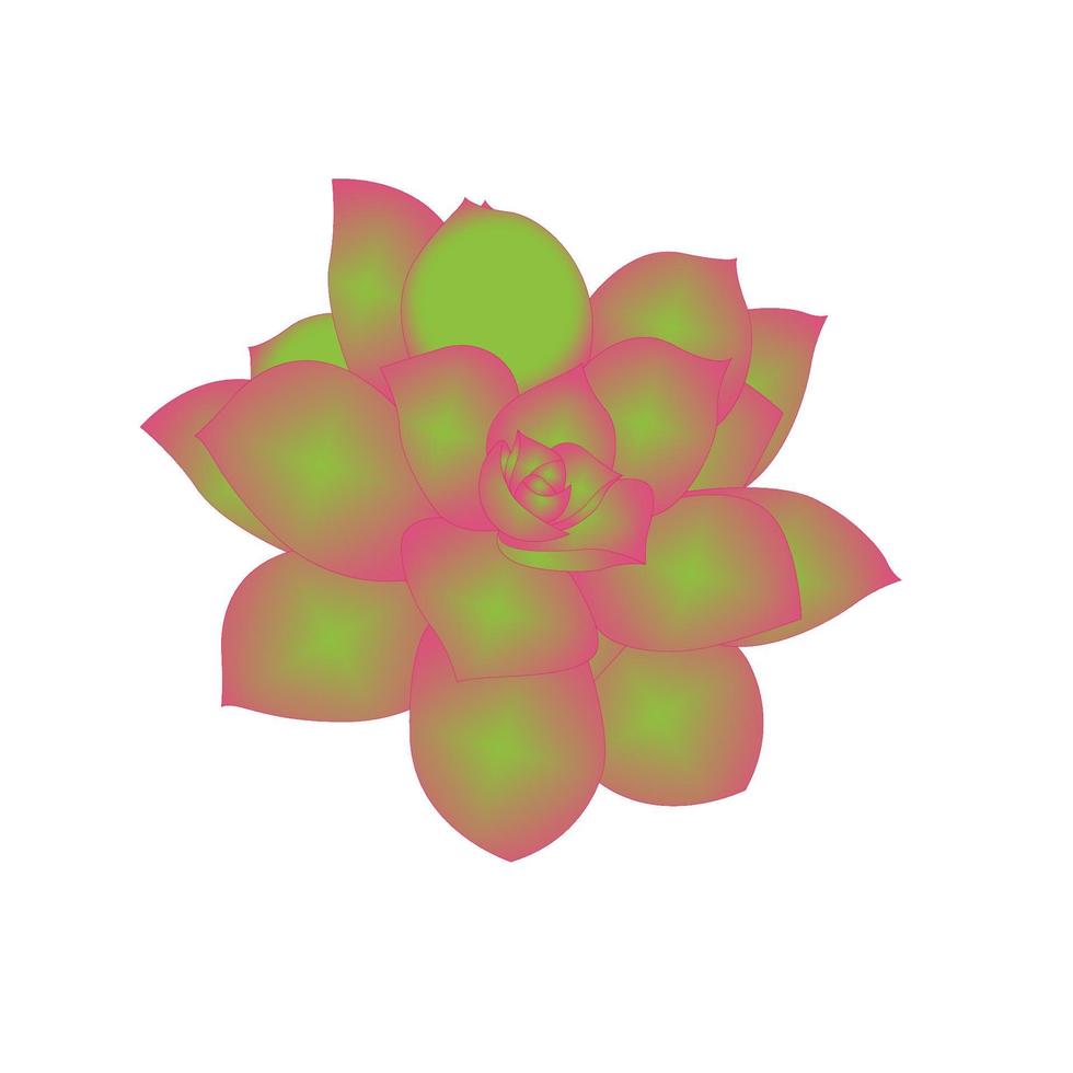 vacker grön suckulent kaktus logotyp mall vektor