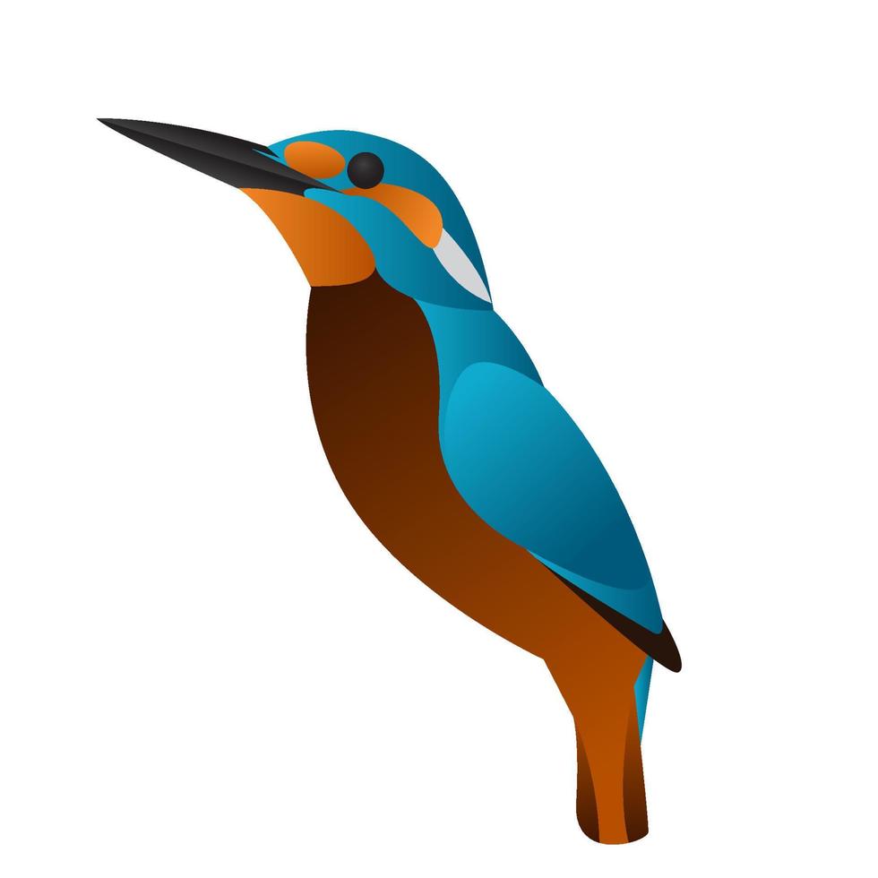 Farbverlauf-Eisvogel-Vogel-Vektor-Illustration vektor