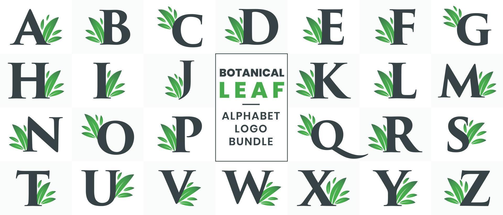 botaniska blad alfabetet logotyp bunt. grön naturlig bokstavslogotyp inställd från a till z vektor