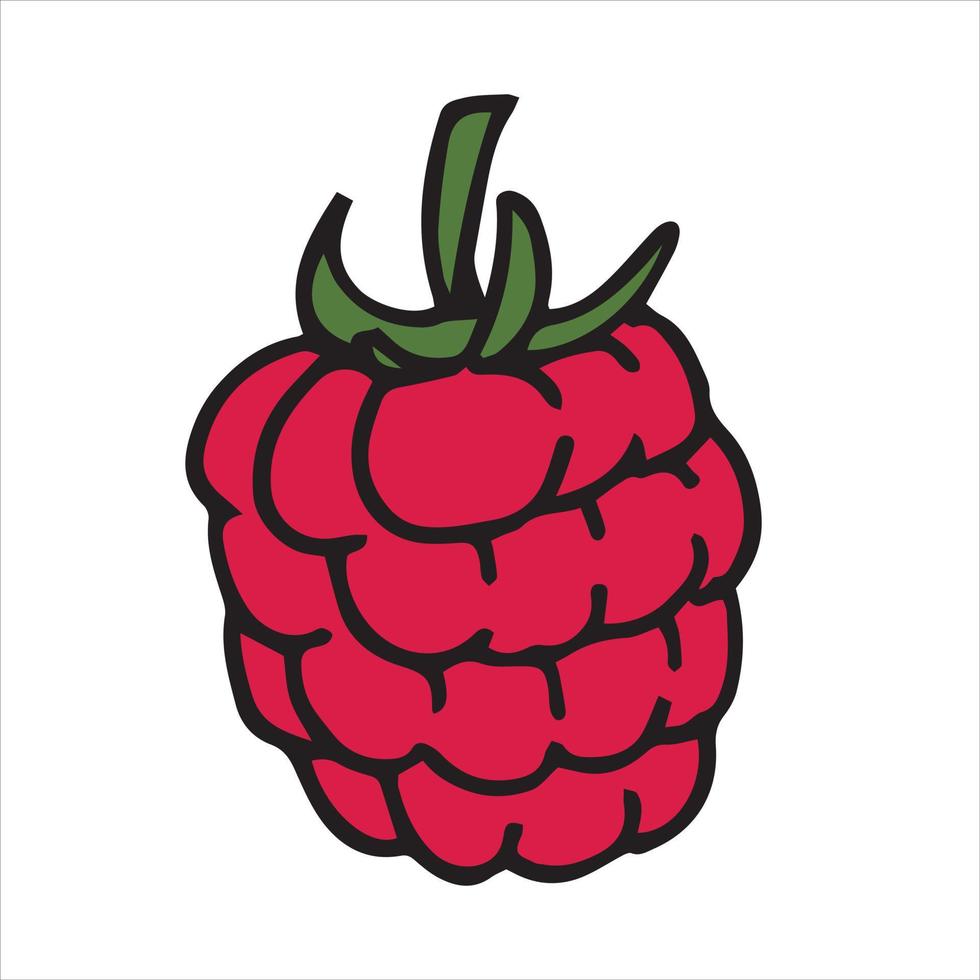 vektorillustration in der gekritzelart, karikatur. Himbeere. süße Ikone von reifen rosa Himbeeren. clipart beeren, gesundes essen, vegetarisches essen vektor