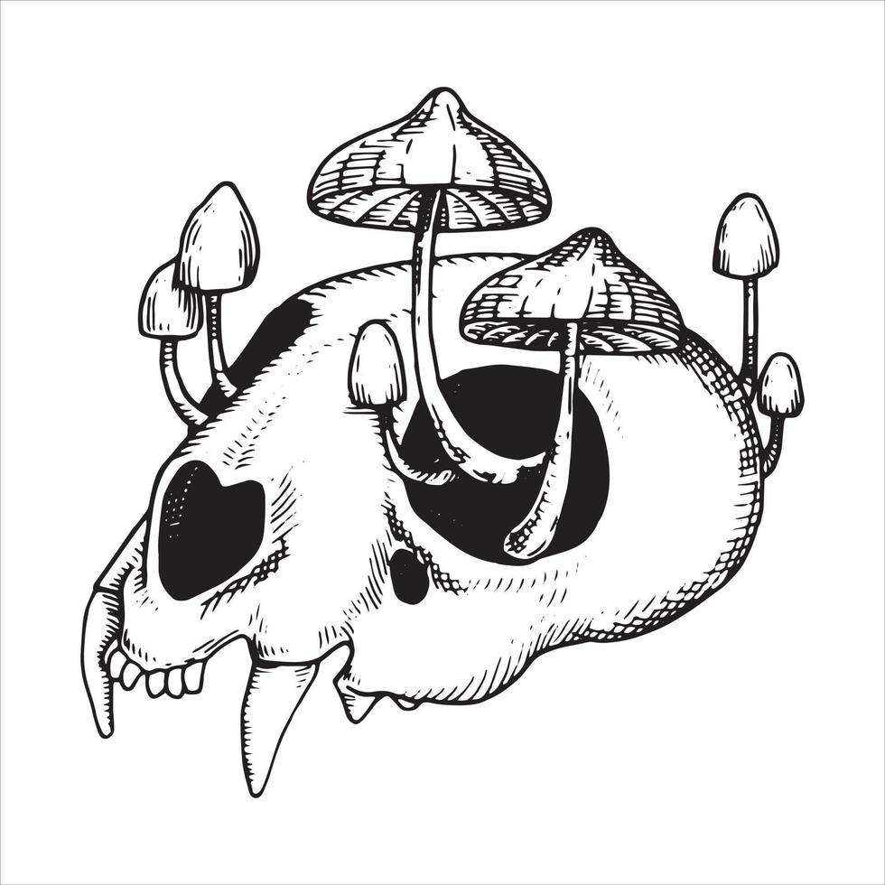 Vektorzeichnung Schädel und giftige Pilze. grafische zeichnung im skizzenstil. Halloween-Thema, Hexerei, Gothic vektor