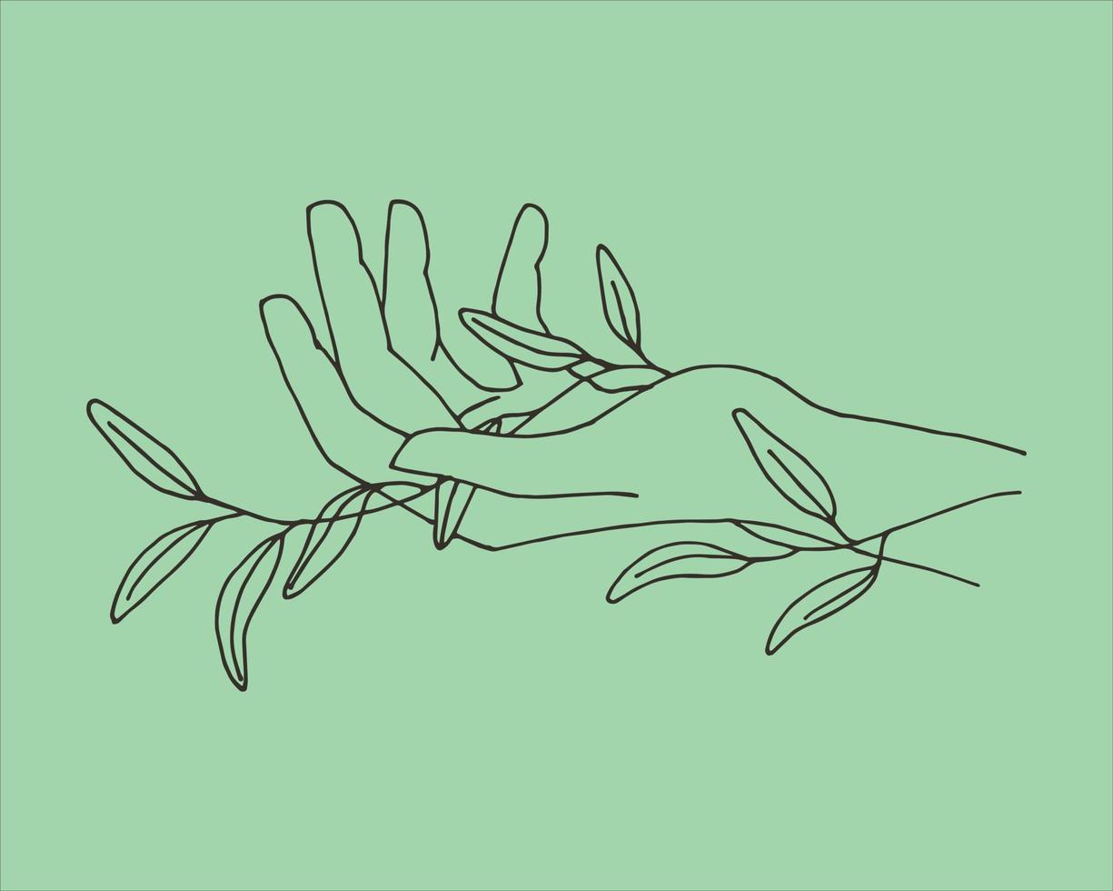 stiliserade graciösa kvinnliga händer och en eukalyptusväxt. boho modern estetisk bakgrund med feminina handgester. modernt minimalistiskt konsttryck, kroppsvårdssymbol, miljövänlig kosmetika. vektor