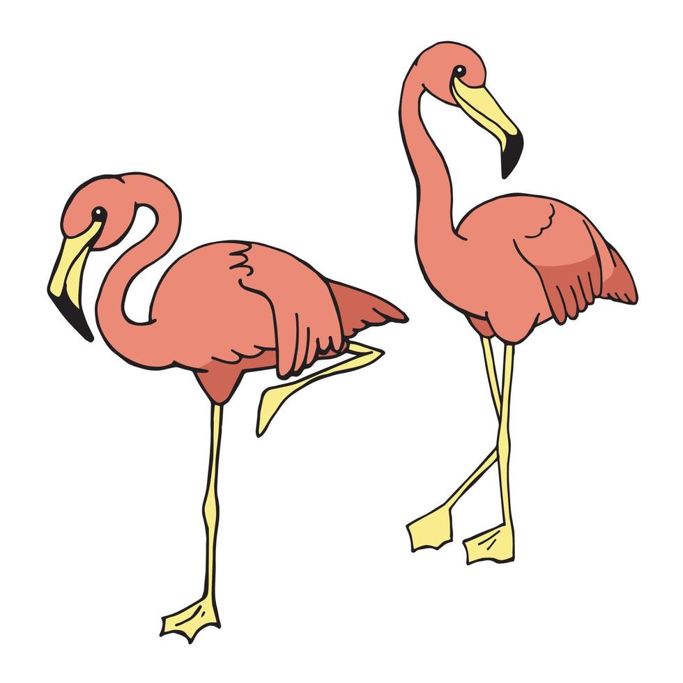 Vektorillustration, Farbskizze. tropische Vögel gesetzt. Sammlung rosa Flamingos. einfache Handzeichnung lokalisiert auf weißem Hintergrund. süße Cliparts für Kinder vektor