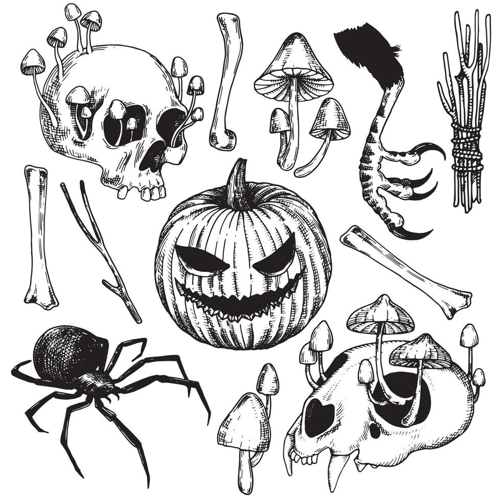 Reihe von Vektorzeichnungen zum Thema Halloween. grafische Schwarz-Weiß-Zeichnungen im Vintage-Stil. Hexerei, Magie, Spiritualität. Schädel, Kristall, Pilze, Frosch, Tränke, Spinnen und Knochen vektor