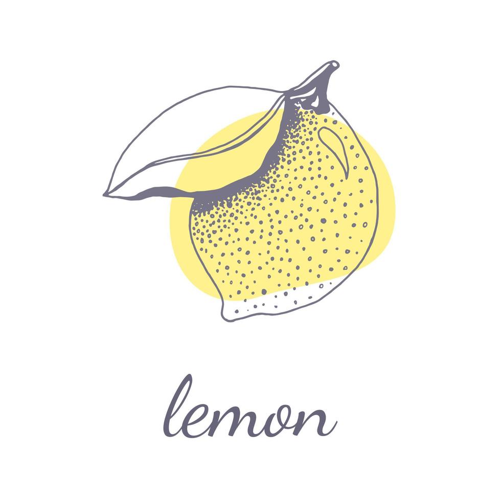 vektor logotyp mall med en handritad kontur. citrus, citron, botanisk, blommig logotyp skiss på beige bakgrund. visitkort design.