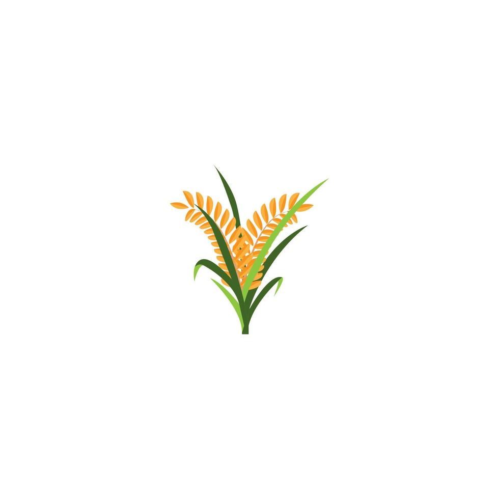 Paddy-Symbol. Vektor-Illustration-Template-Design. vektor