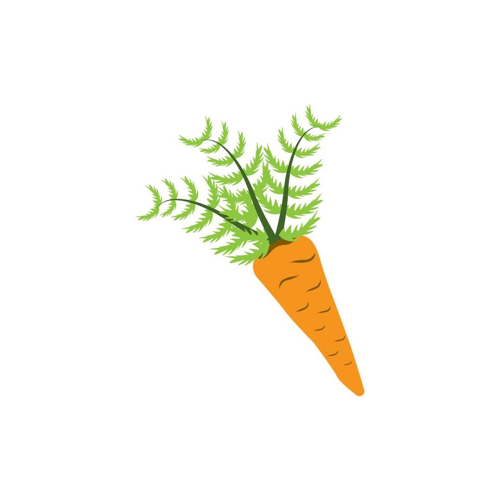 Karotten-Symbol. Vektor-Illustration-Template-Design vektor