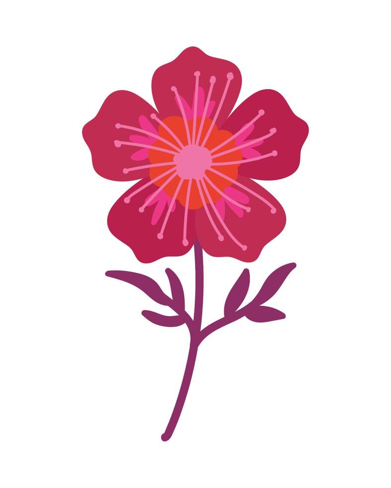 rosa Blumenblume vektor