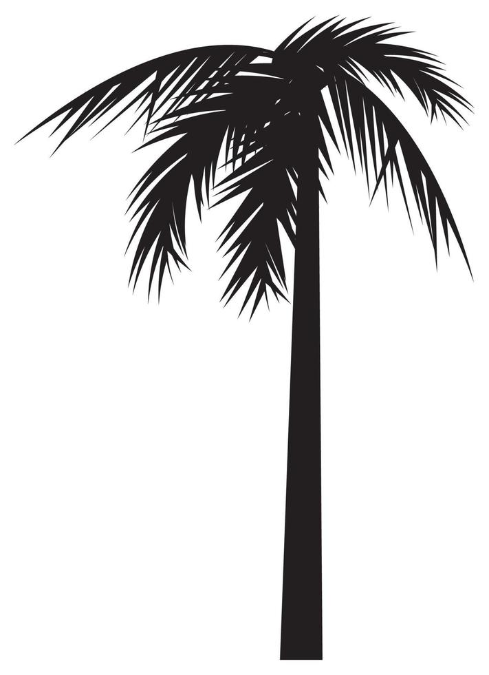 tropische Baumpalmensilhouette vektor