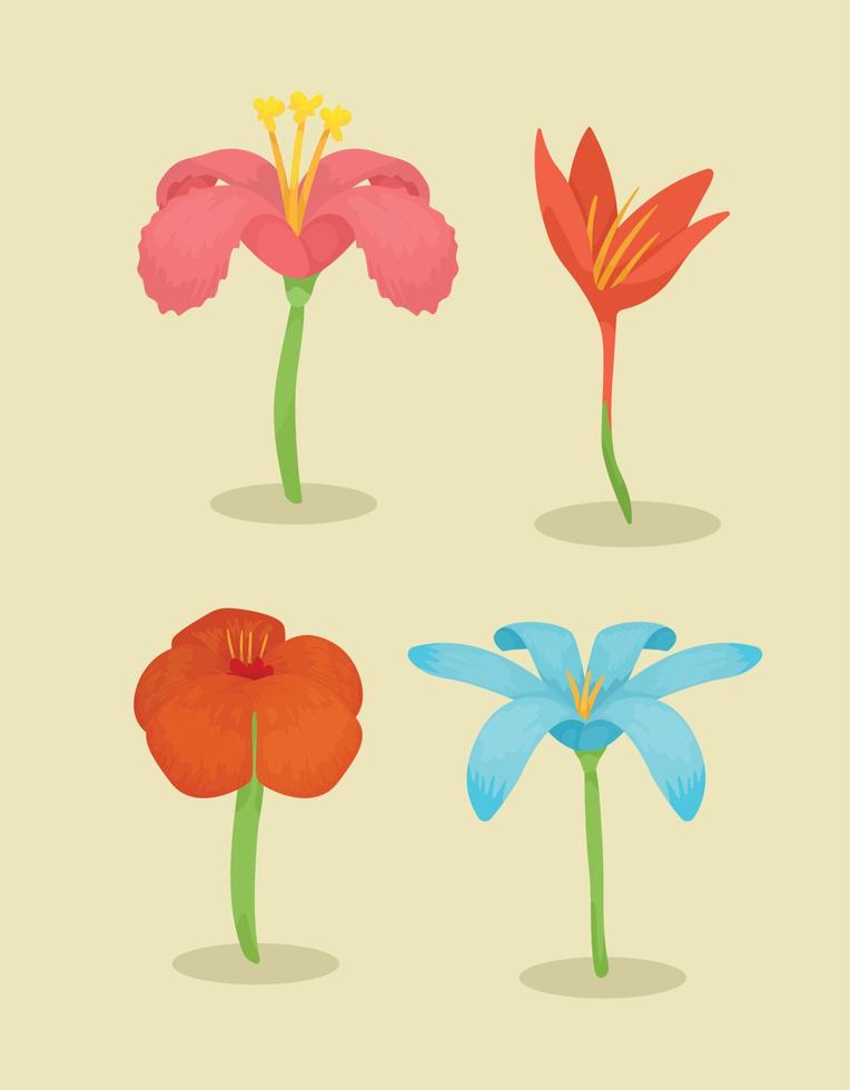 fyra vackra blommor trädgård vektor