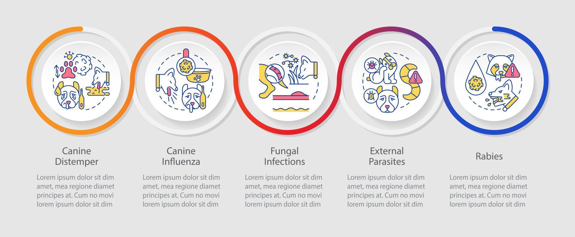 Infografik-Vorlage zum Schutz des Hundes vor Krankheitsschleifen. Hundegrippe. Datenvisualisierung mit 5 Schritten. Info-Diagramm der Prozesszeitachse. Workflow-Layout mit Liniensymbolen. vektor