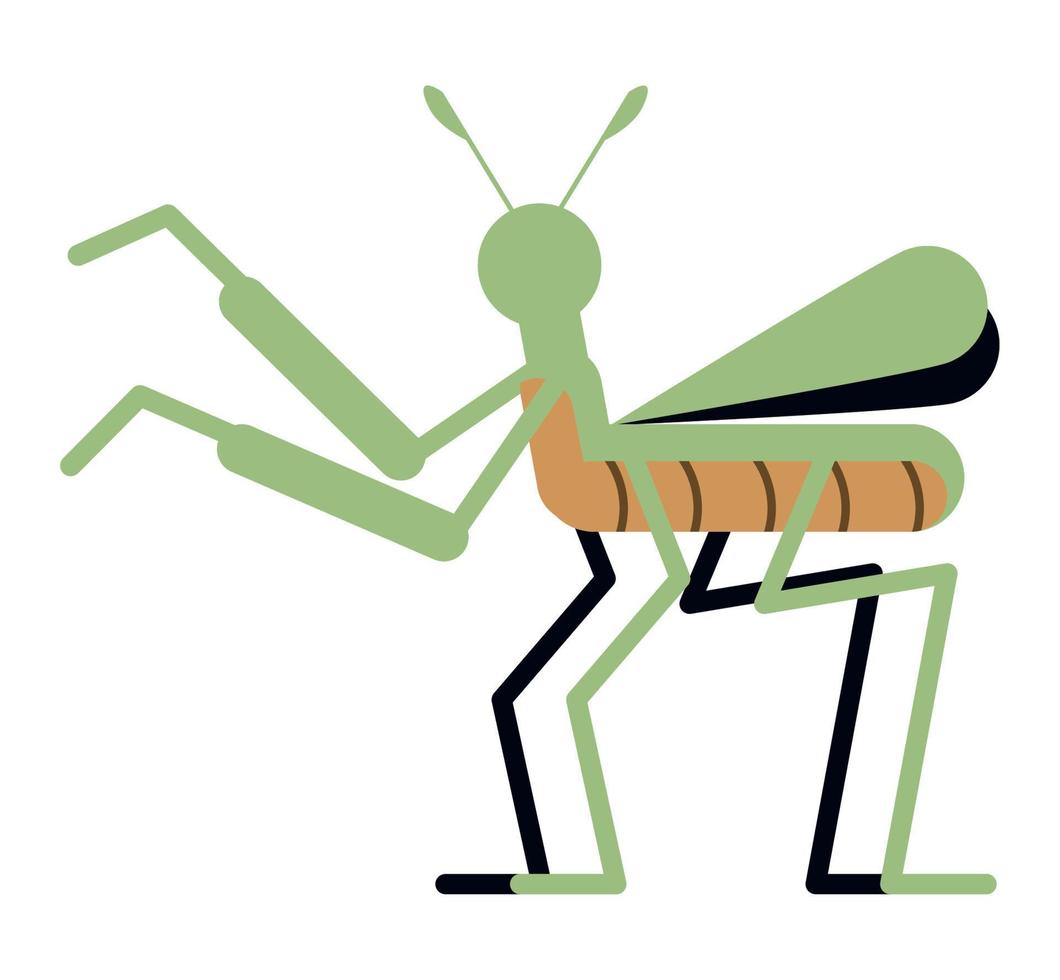 cricket insekt trädgård våren vektor