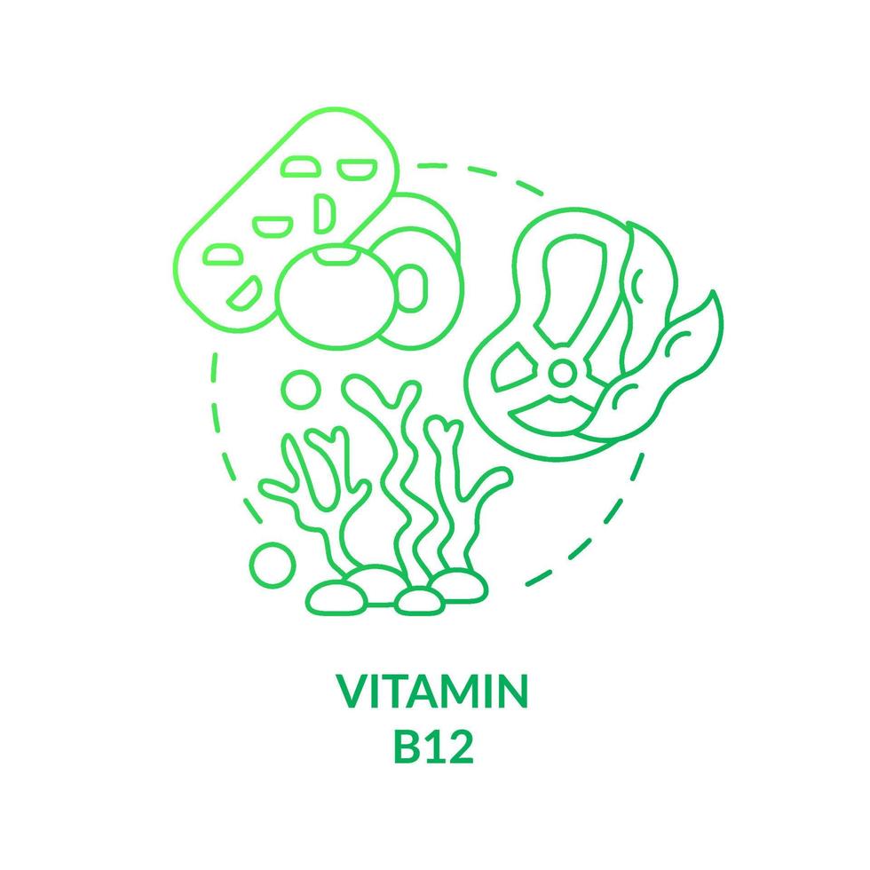 kobalamin grön gradient koncept ikon. växtbaserat köttalternativ. vitamin b. källa till näringsämnen abstrakt idé tunn linje illustration. isolerade konturritning. vektor