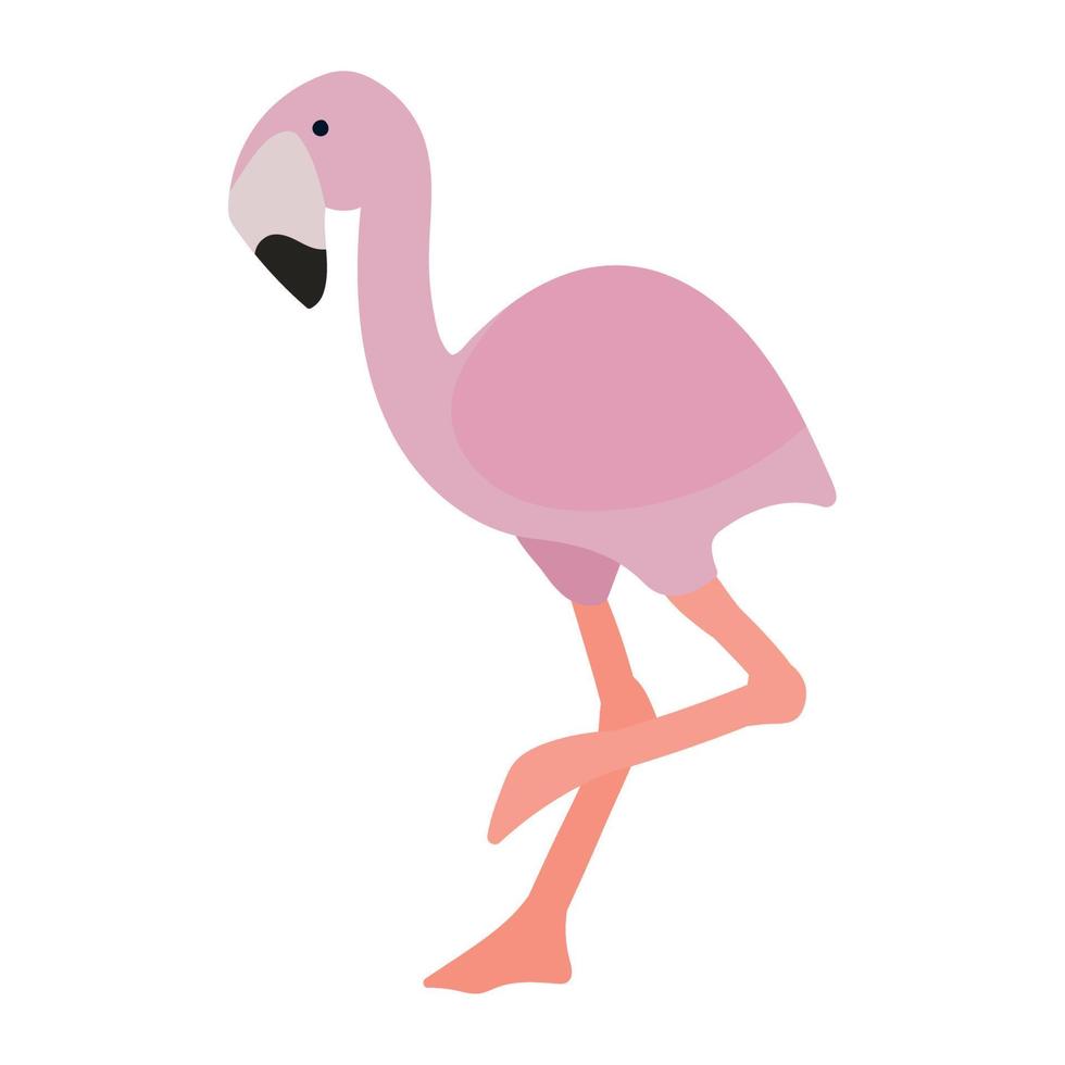 Flamingo wildes Tier vektor