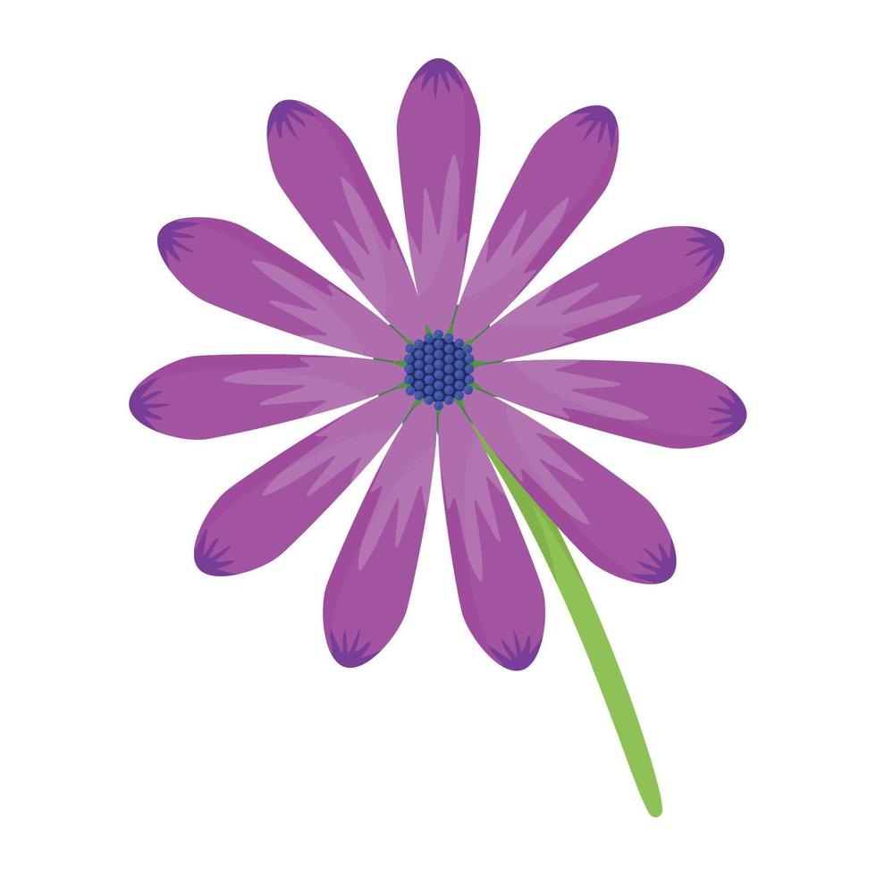 schöner violetter Blumengarten vektor