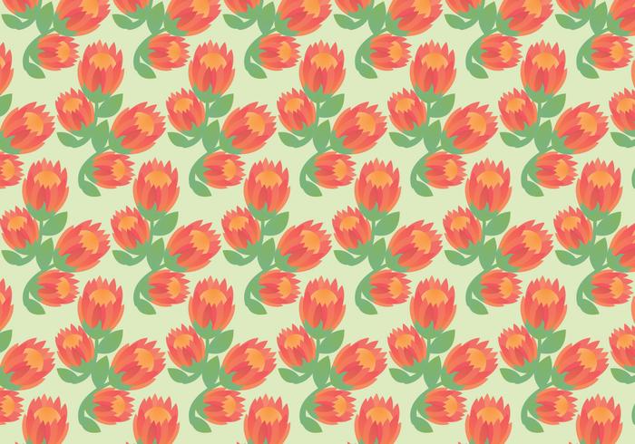 Gratis Protea Vector Mönster