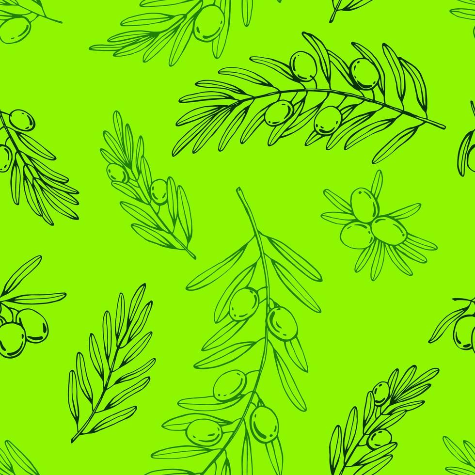 seamless mönster med olivkvistar. handritad illustration. vektor