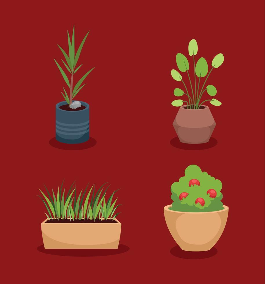 vier dekorative ikonen der zimmerpflanzen vektor