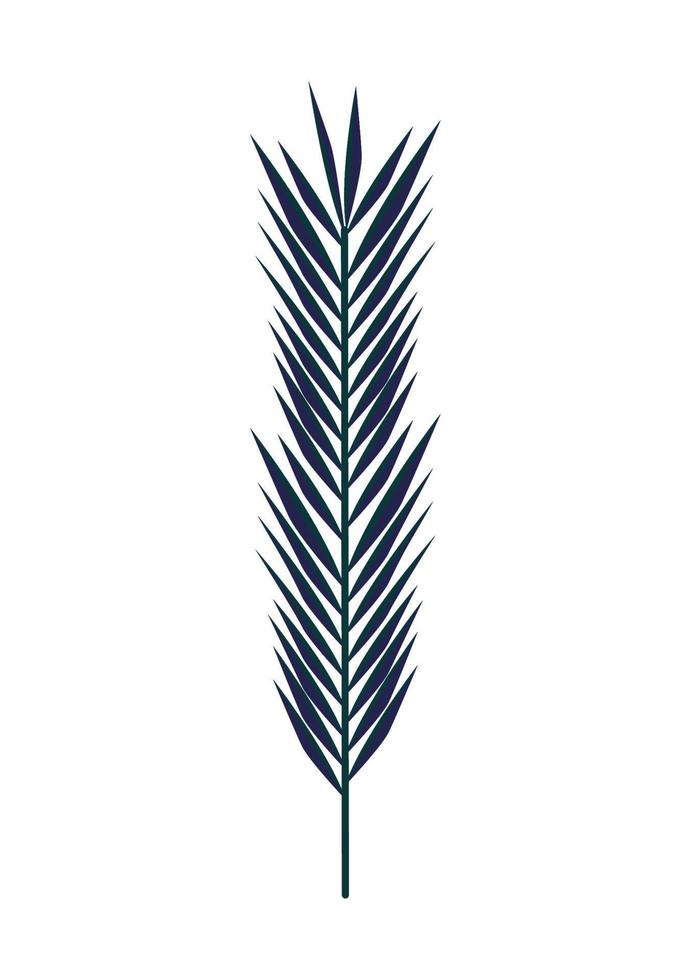 dekorativ bladpalm vektor