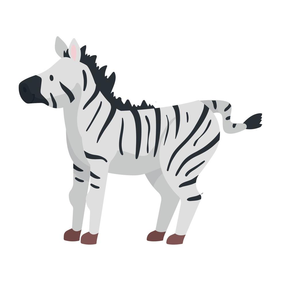 Zebra söt djurunge vektor