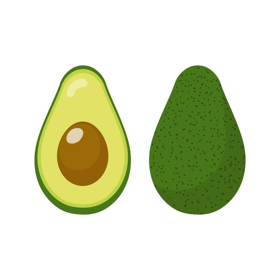 frische ganze und halbe Avocado isoliert auf weißem Hintergrund. Bio-Lebensmittel. Cartoon-Stil. Vektorillustration für Design. vektor