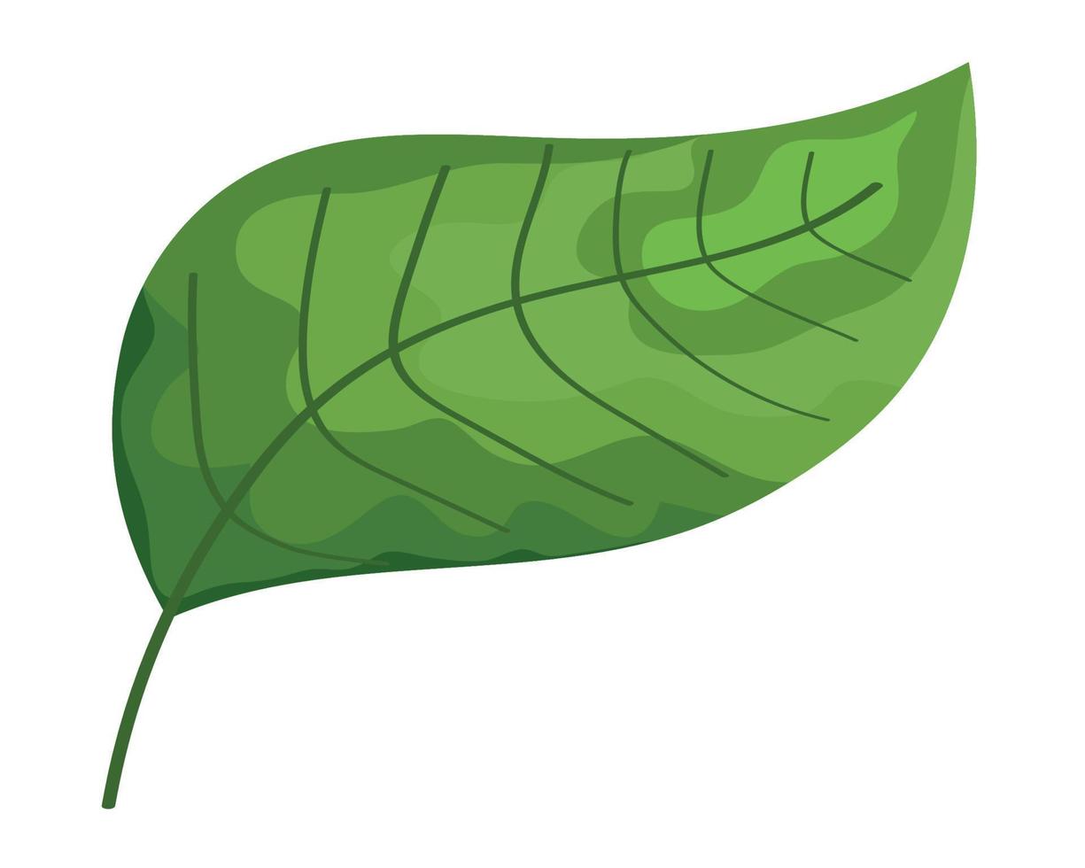 grüne Pflanze verlassen vektor