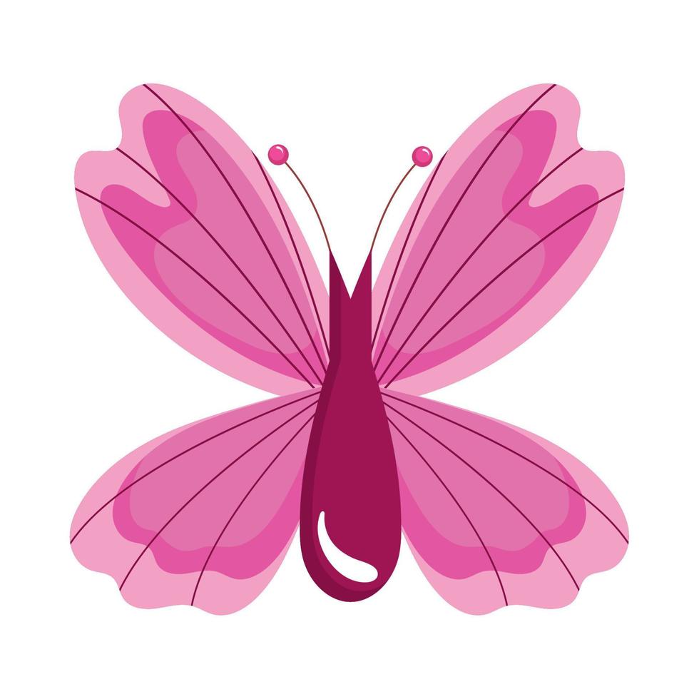 rosa fjärilsinsekt vektor