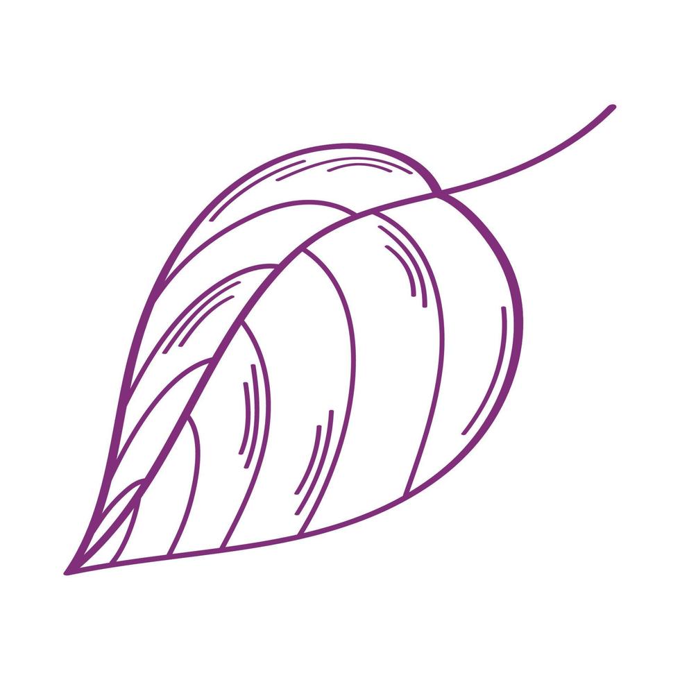 Blattpflanze Doodle-Stil vektor