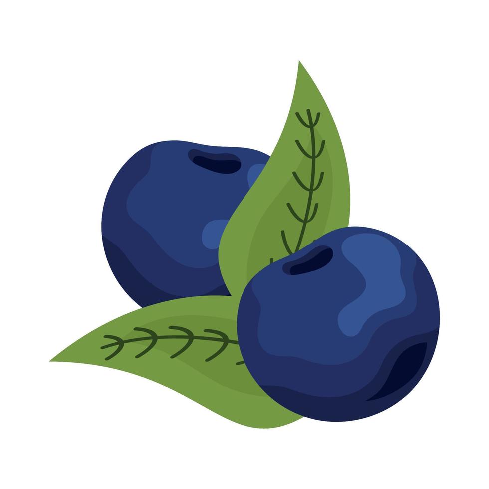 blåbär och blad vektor
