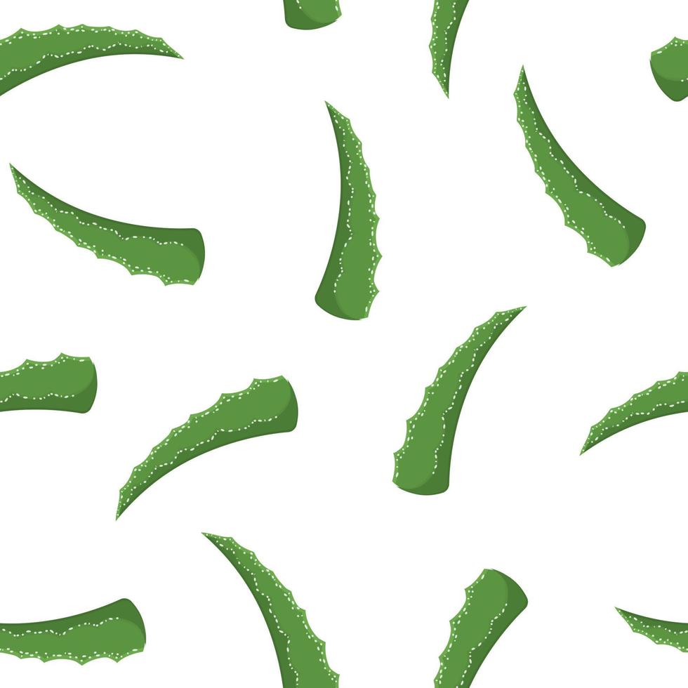 nahtloses muster mit aloe vera heilpflanze geschnittenen blättern isoliert auf weißem hintergrund. Cartoon-Stil. Vektorillustration für jedes Design. vektor