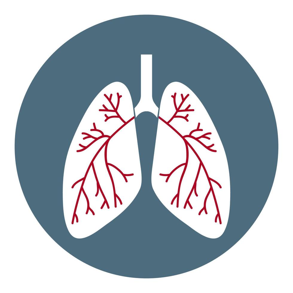 vektor lungor ikon. hälso-och sjukvård symbol isolerad på vit bakgrund. platt stil. vektor illustration för appar, webbplatser.
