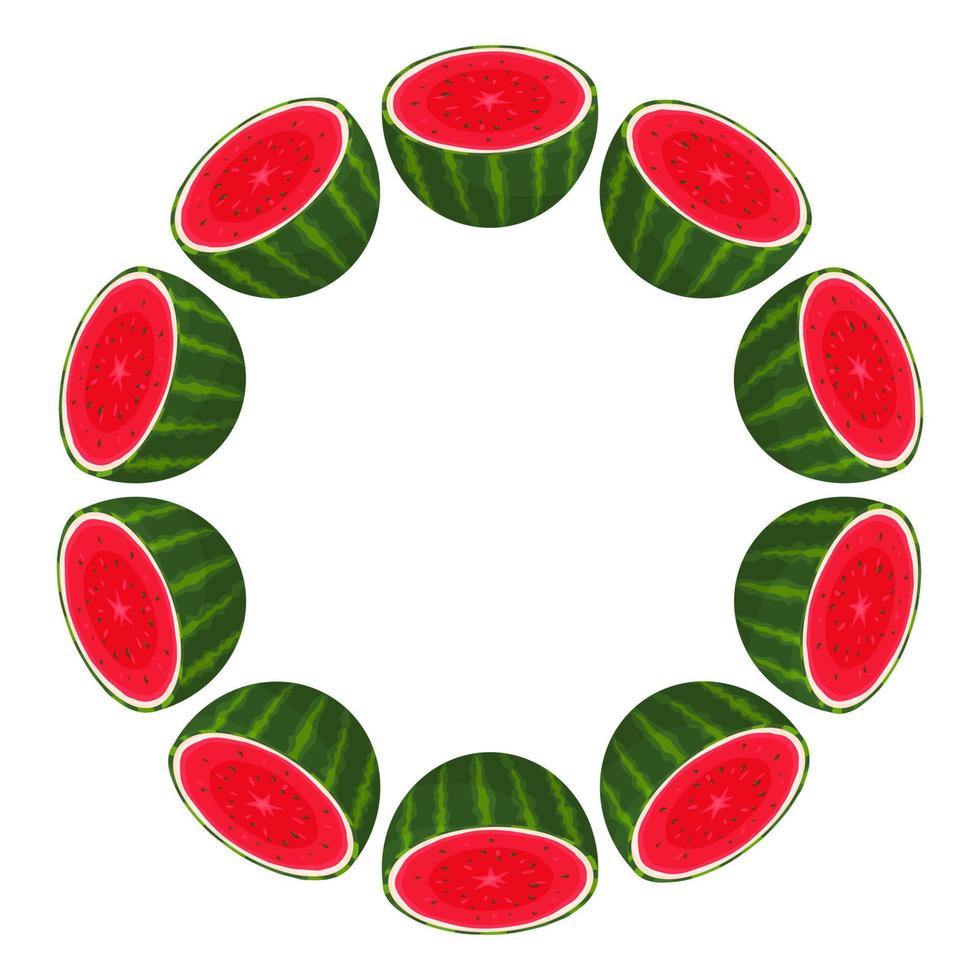 krans från halv vattenmelon med plats för text. tecknad ekologisk söt mat. sommarfrukter för en hälsosam livsstil. vektor illustration för någon design.