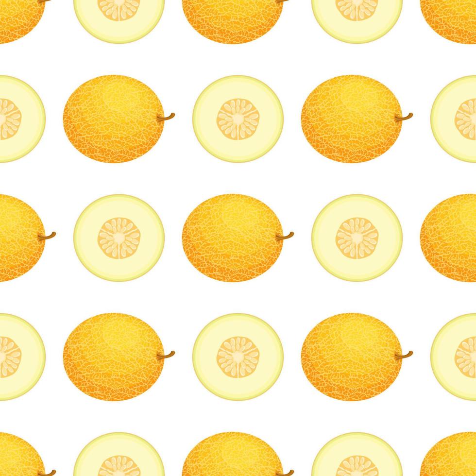 Nahtloses Muster mit frischen ganzen und halben Melonenfrüchten auf weißem Hintergrund. Honigmelone. sommerfrüchte für einen gesunden lebensstil. Bio-Obst. Vektorillustration für jedes Design. vektor