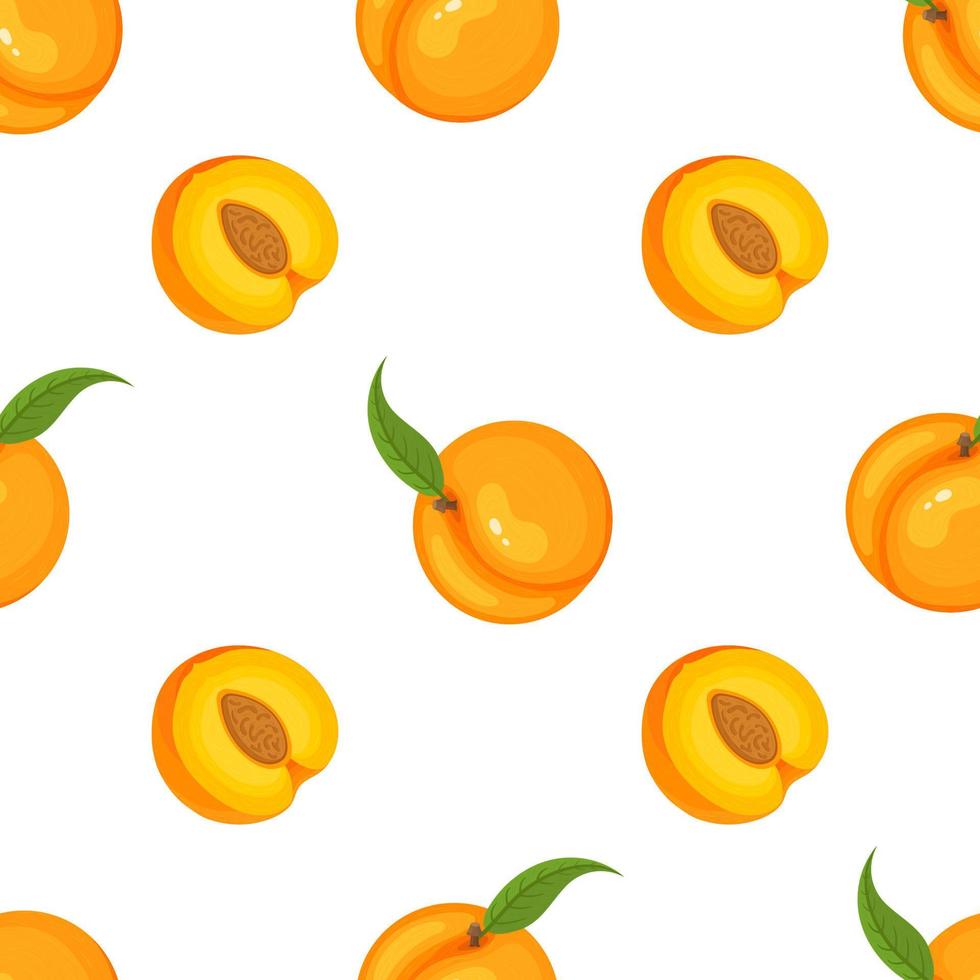 Samlöst mönster med tecknad detaljerad exotisk persika på vit bakgrund. sommarfrukter för en hälsosam livsstil. ekologisk frukt. vektor illustration för någon design.
