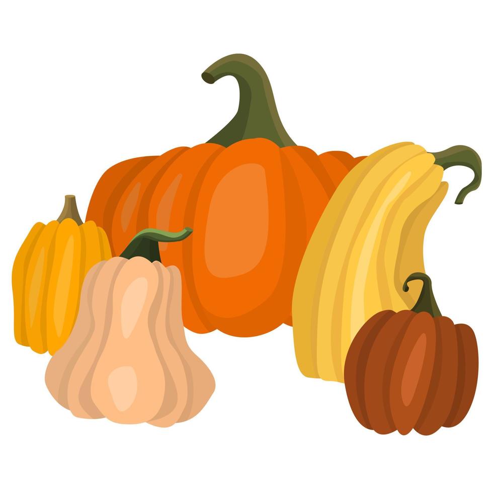 Haufen bunter Kürbisse. Herbstillustration für Halloween-Thema. vektorernte von gemüse für kinderbücher und karten vektor
