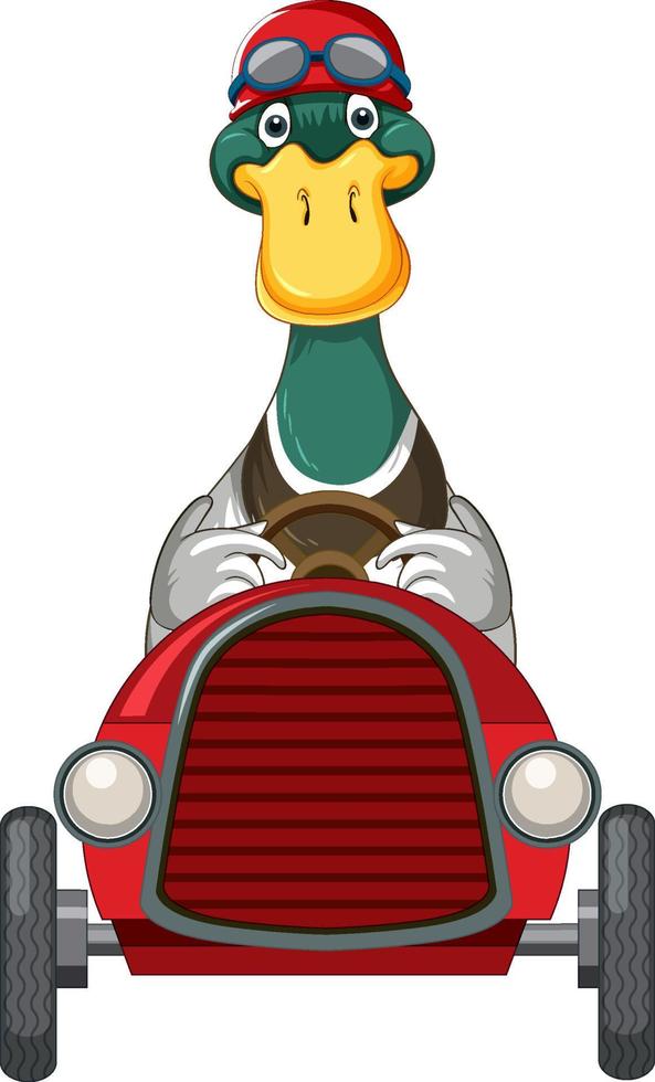 süße ente mit helm, der rennwagen fährt vektor