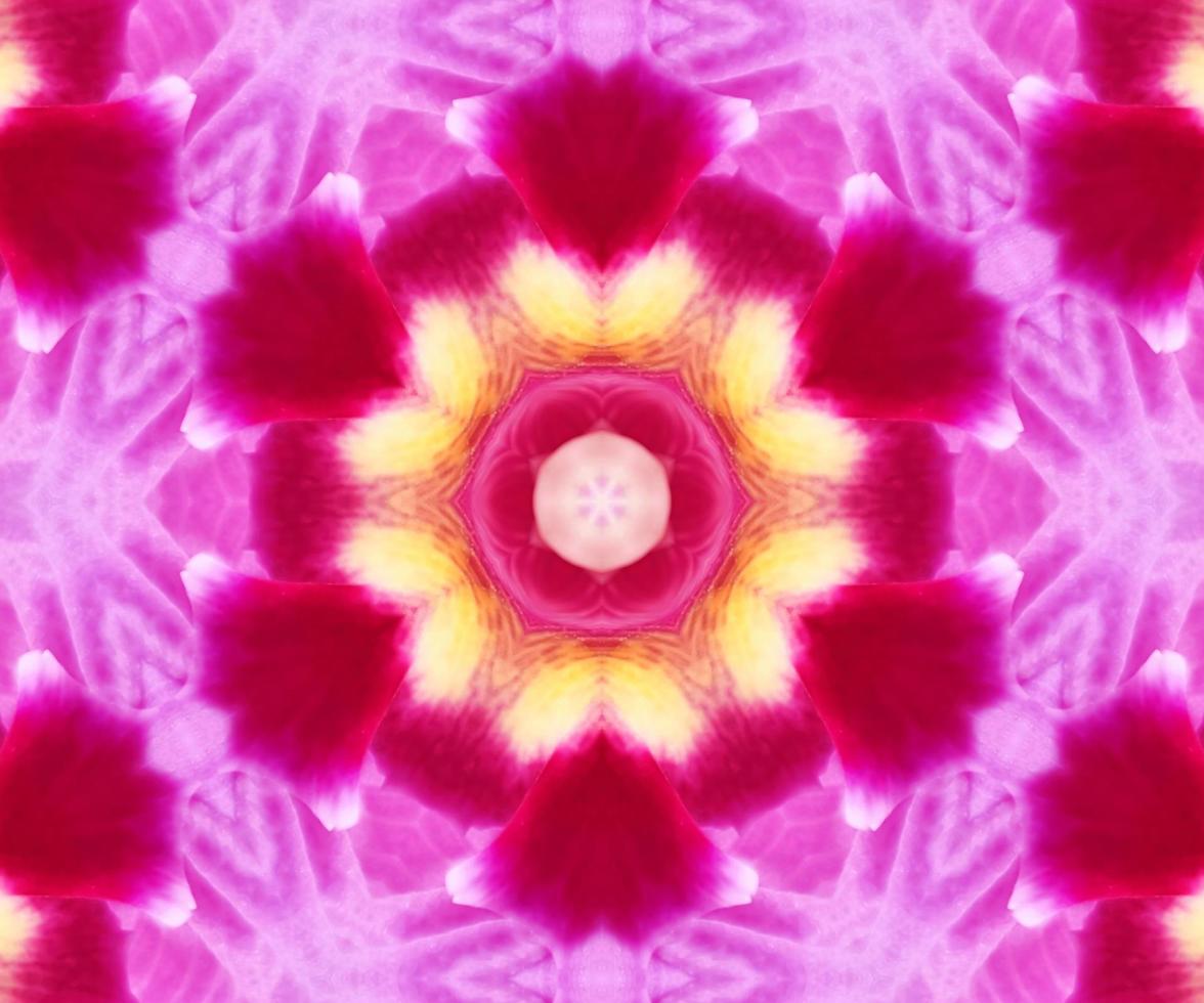 abstrakt rosa blommig naturliga blomblad geometriska mönster mandala. vektor