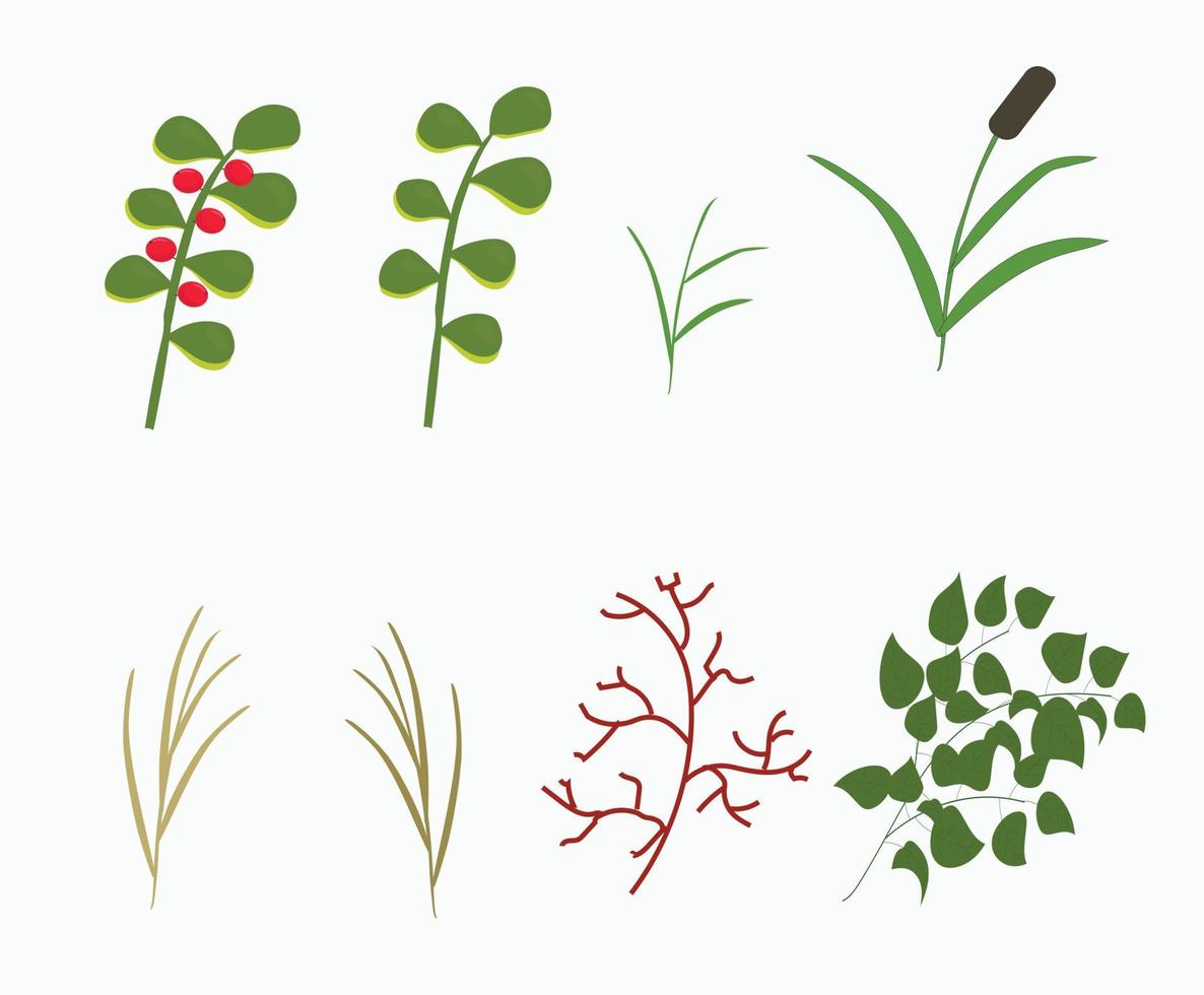 Reihe von Zweigen verschiedener Pflanzen. Vorlage für Hochzeitskarten. Vektor-Illustration isoliert auf weißem Hintergrund. vektor