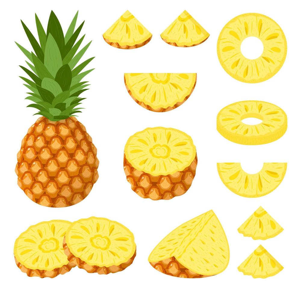 uppsättning av färska hela, halva, skära skiva ananas frukter isolerad på vit bakgrund. sommarfrukter för en hälsosam livsstil. ekologisk frukt. tecknad stil. vektor illustration för någon design.