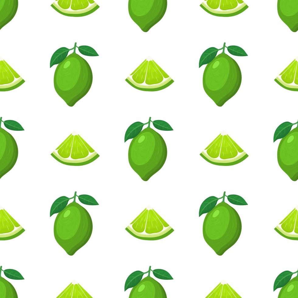 seamless mönster med färska ljusa exotiska hela och skära skiva lime frukt på vit bakgrund. sommarfrukter för en hälsosam livsstil. ekologisk frukt. tecknad stil. vektor illustration för någon design.